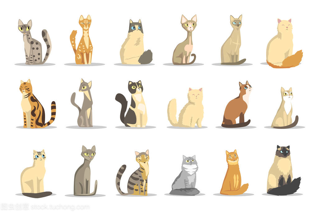 不同品种的猫 可爱宠物动物的矢量插画美学解读